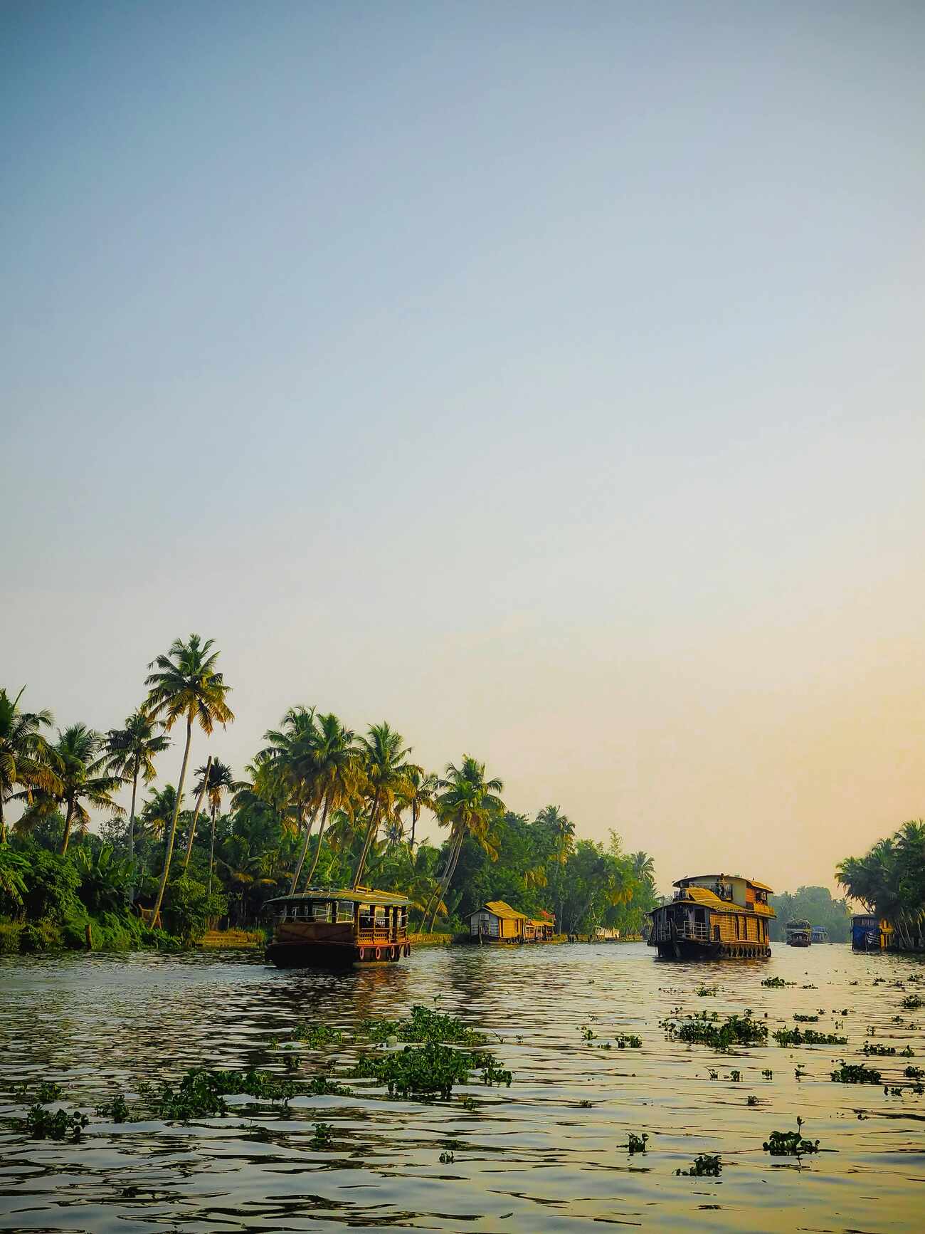 Houseboats cruising through the Alappuzha backwaters at a calm golden hour
