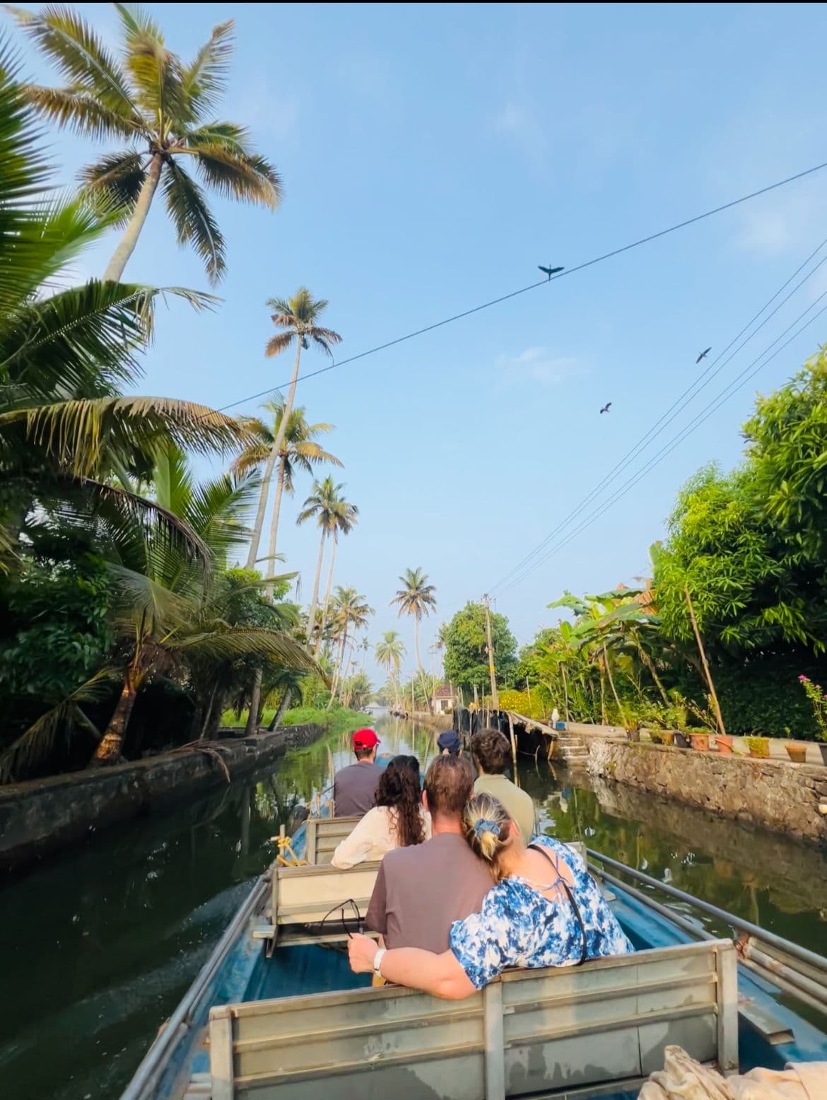 A small group cruising a calm canal under a tall blue sky with palms overhead