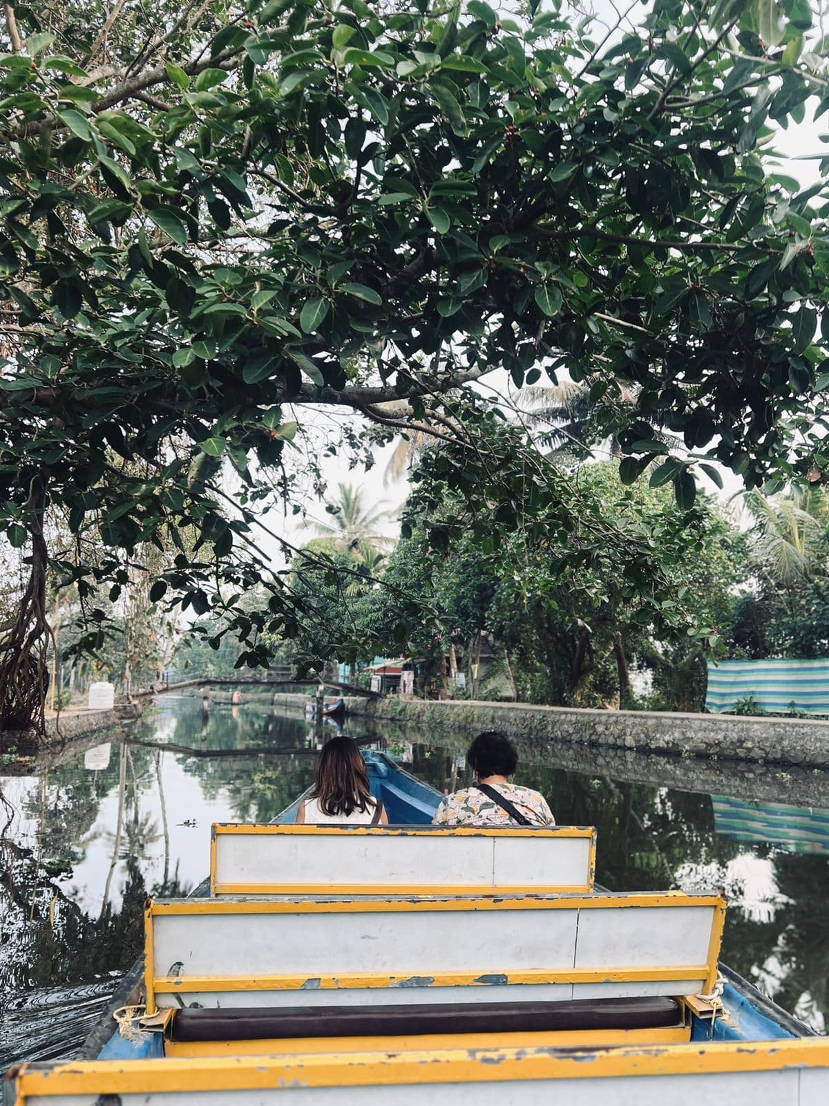 A boat moving through a lush canal lined with palms and birds in daylight