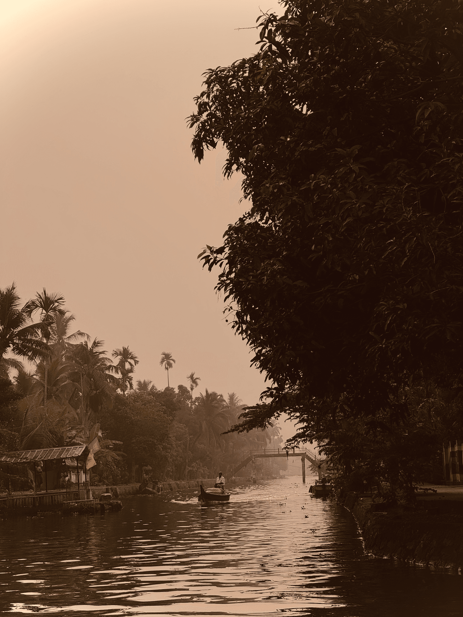 Guest video moment from a houseboat deck in Alleppey