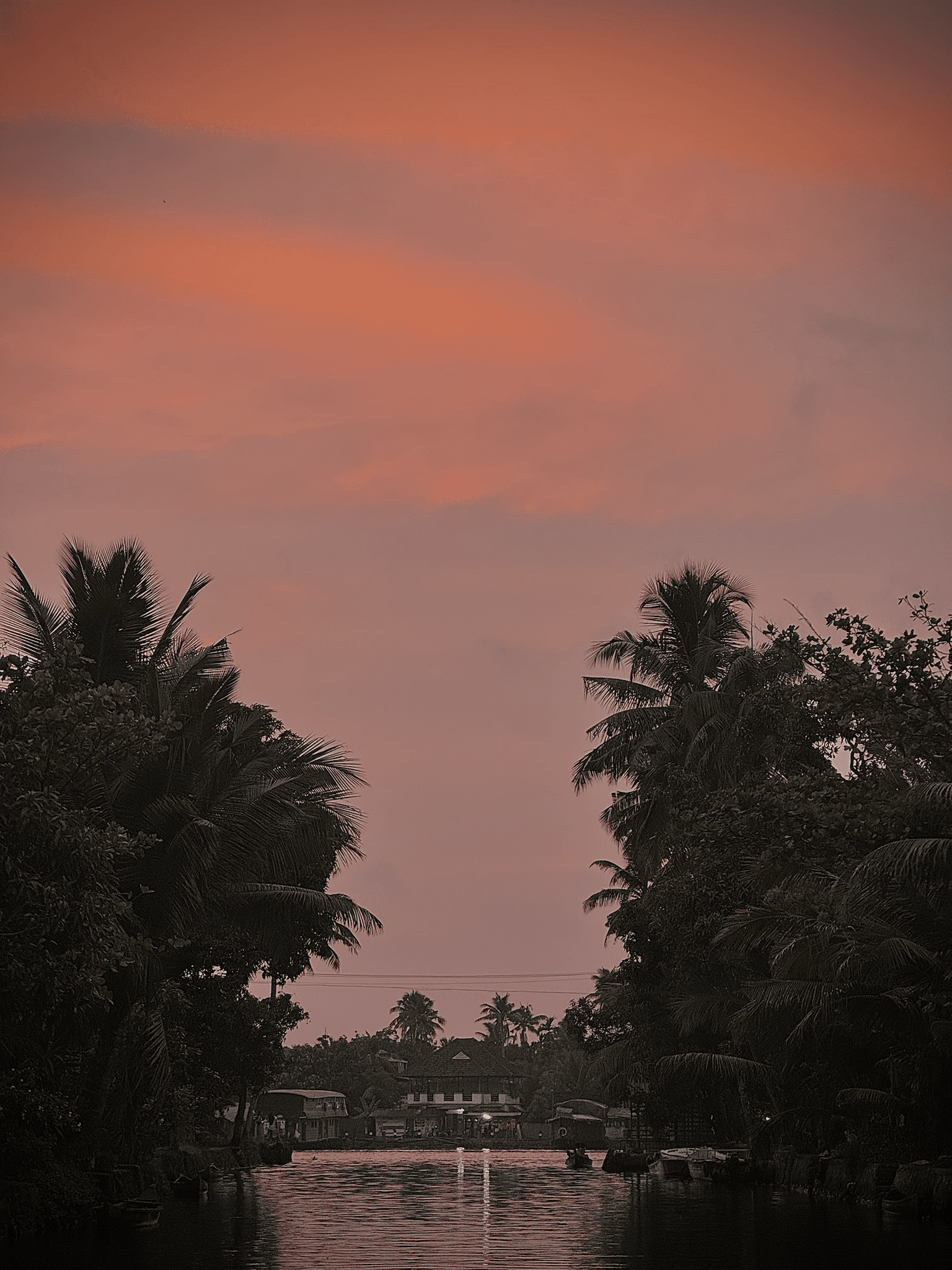Family guest moment during a calm Kerala backwater cruise