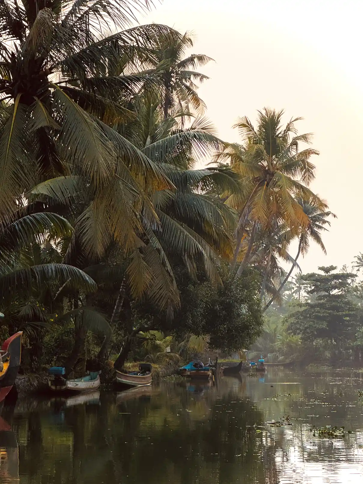 Quiet sunrise-style canal route in Alleppey