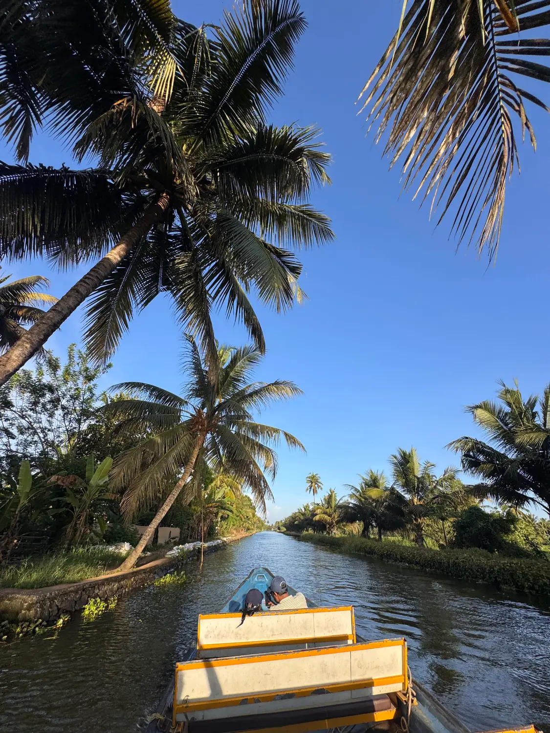 Coconut palms leaning over a narrow canal under a deep blue sky, with the bow of a boat at the bottom of the frame
