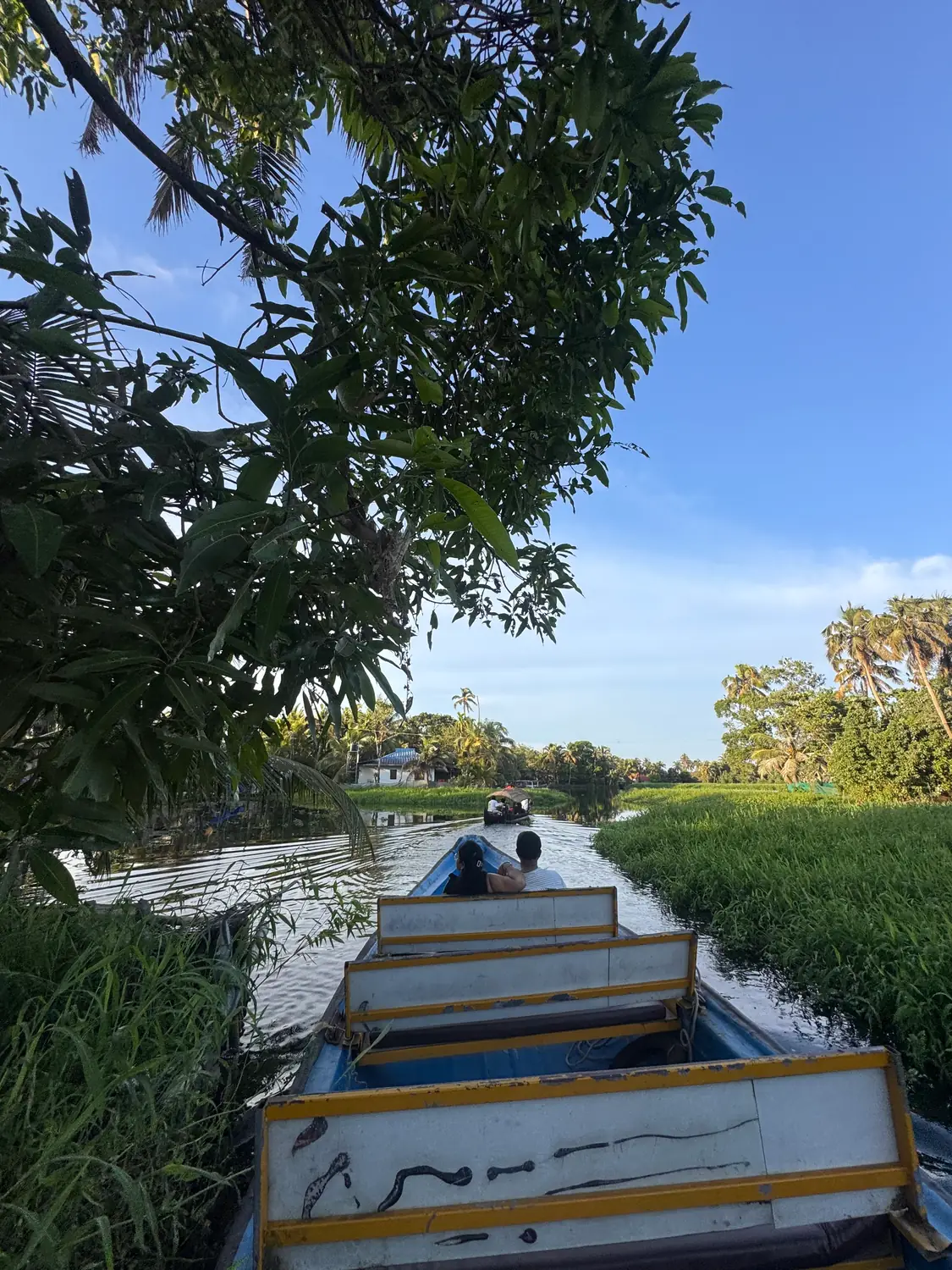 A boat gliding along a canal beside bright green paddy fields, with leafy branches overhead and a clear blue sky