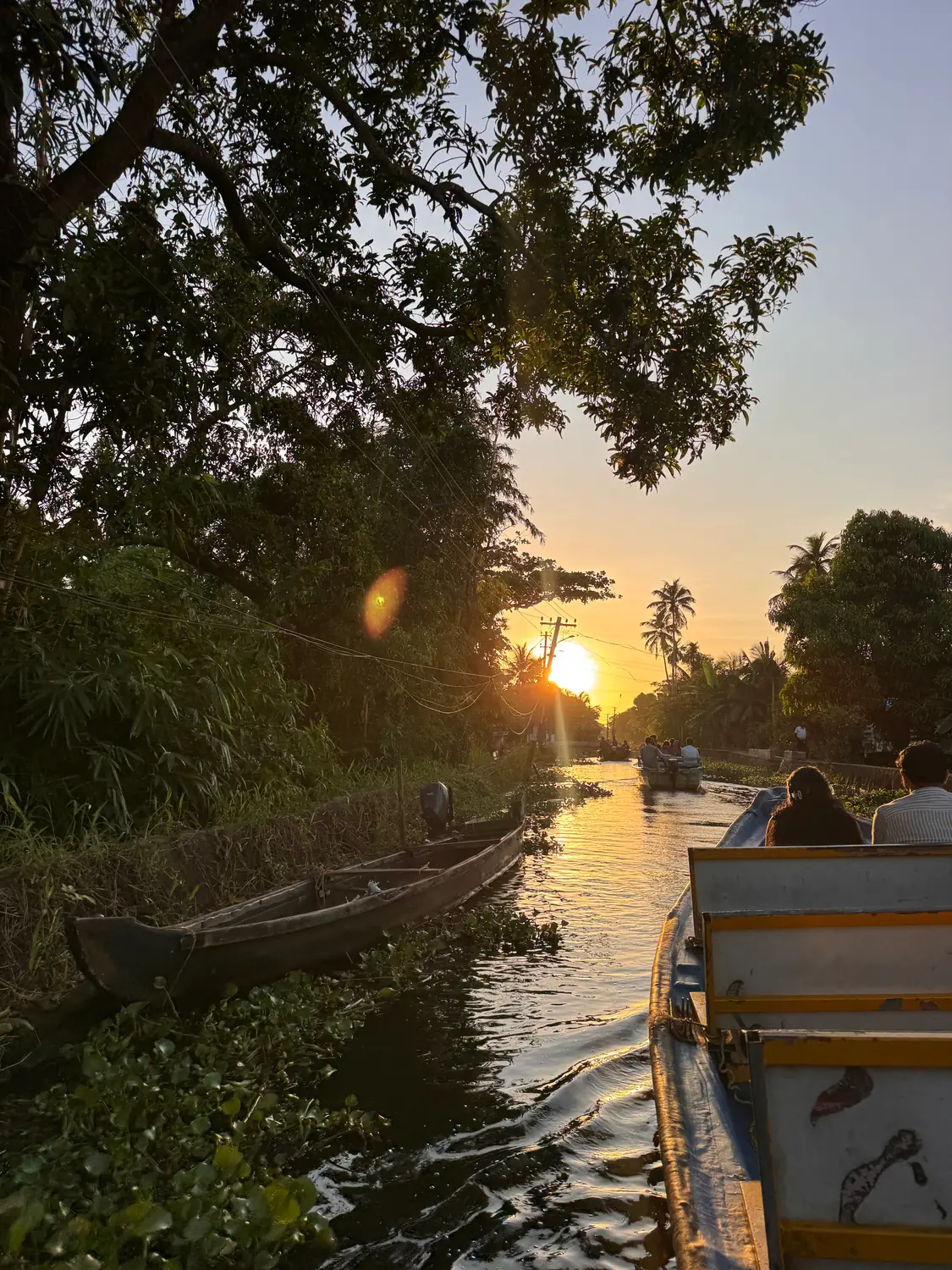 Low sun glowing through trees over a canal, with a wooden boat moored on water hyacinth and passengers in a boat ahead