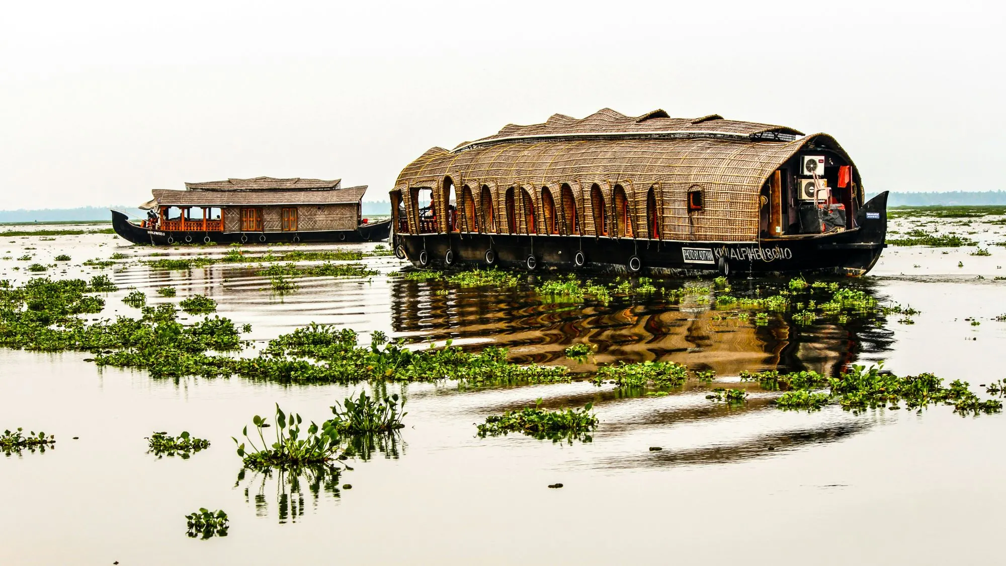 Two traditional kettuvallam houseboats gliding across a still, misty Alleppey lake dotted with water hyacinth