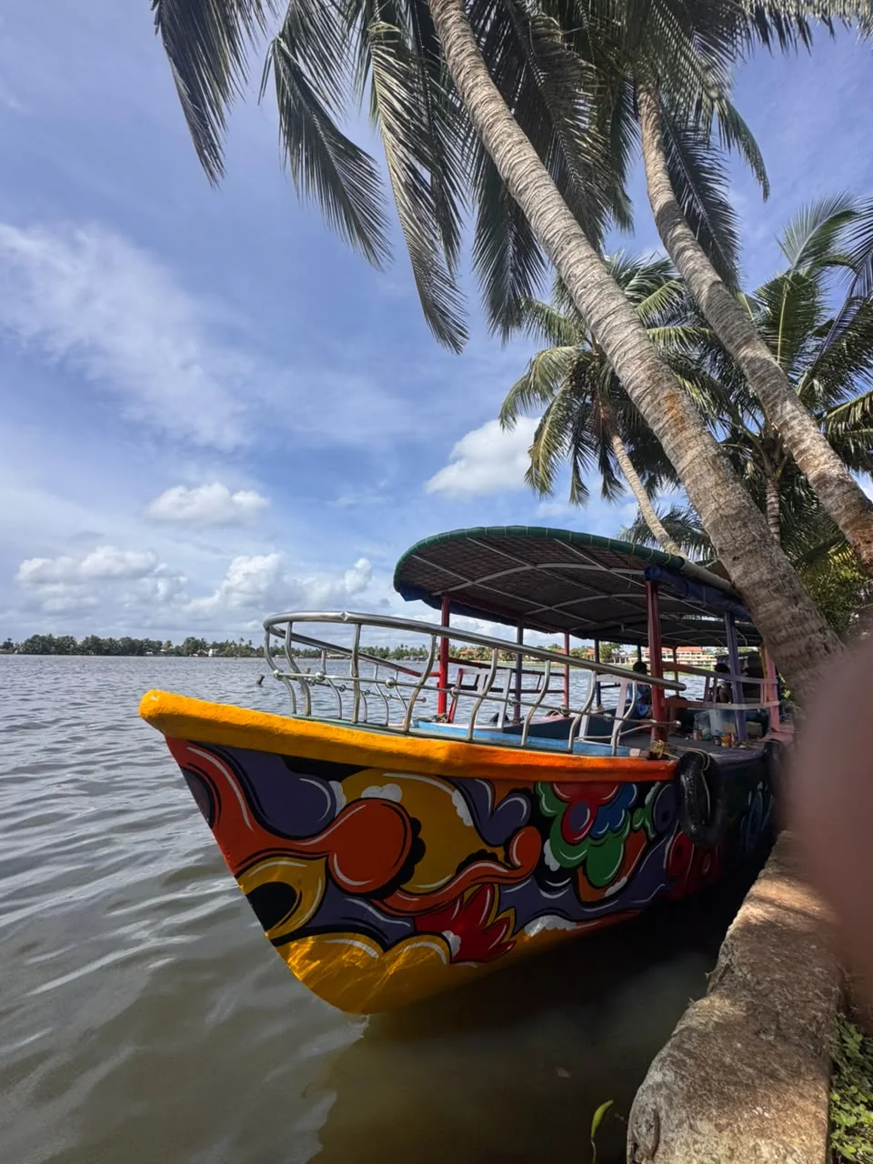 The brightly painted bow of a shikkara boat beside a leaning coconut palm on an open Alleppey lake