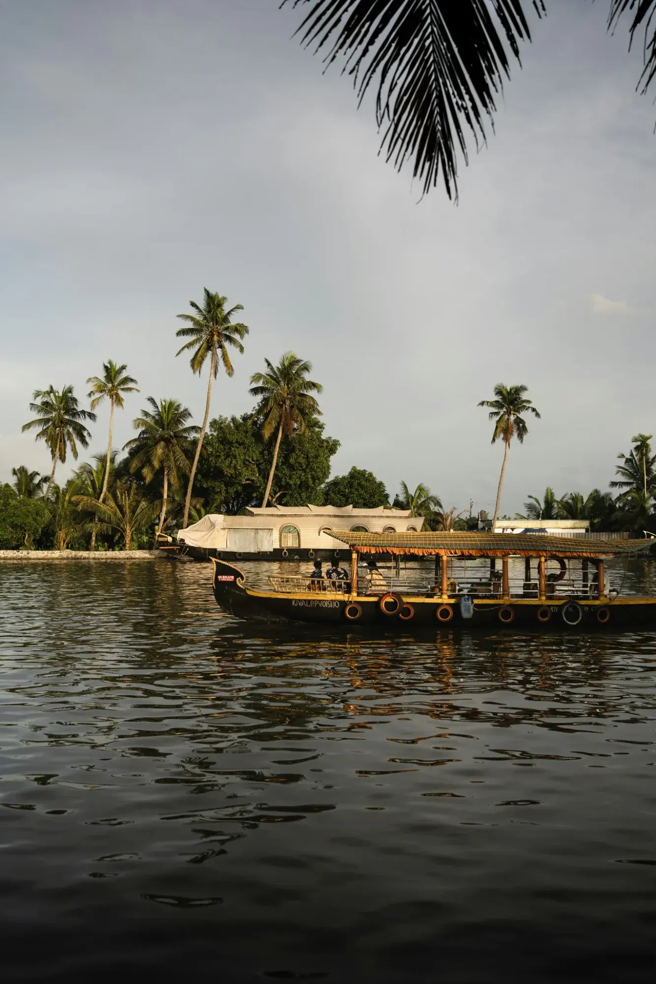A canopied shikkara boat gliding past coconut palms and a moored houseboat on a calm Alleppey backwater in warm evening light