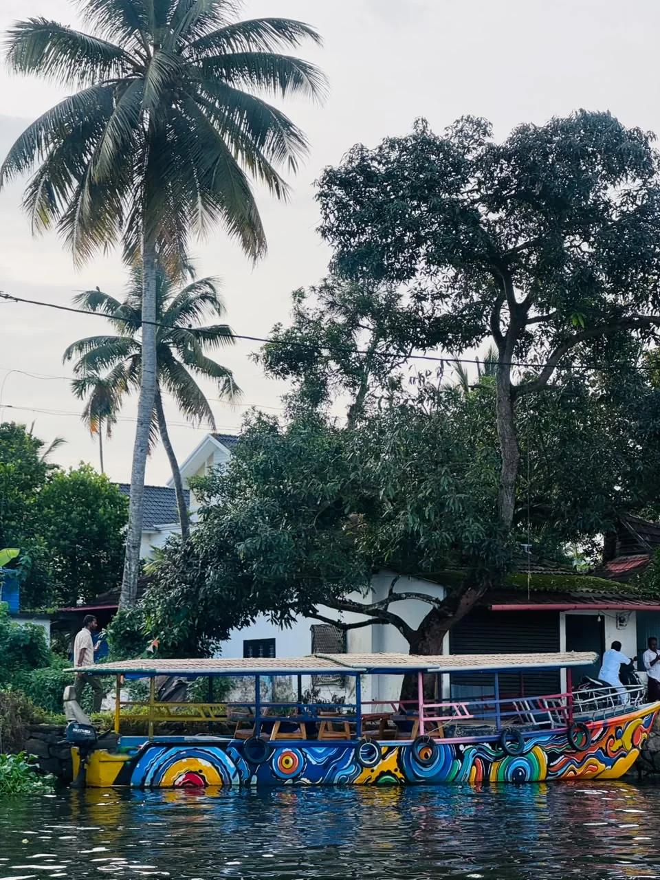 A colourful shikkara moored below a tall coconut palm and a spreading mango tree